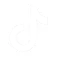 Tiktok logo and link